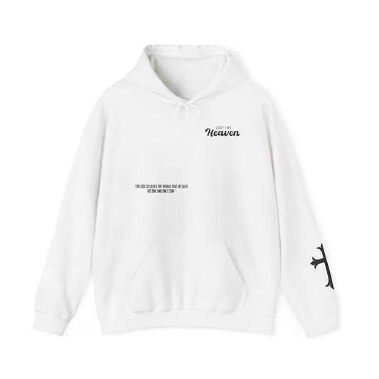 'For God So Loved The World...' Hoodie