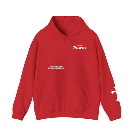 'For God So Loved The World...' Hoodie